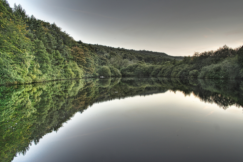 Photograph by Paolo Margari			
					</div><!-- .entry-content -->
		
		<footer>
		
		
		
					
						
			

<div id=