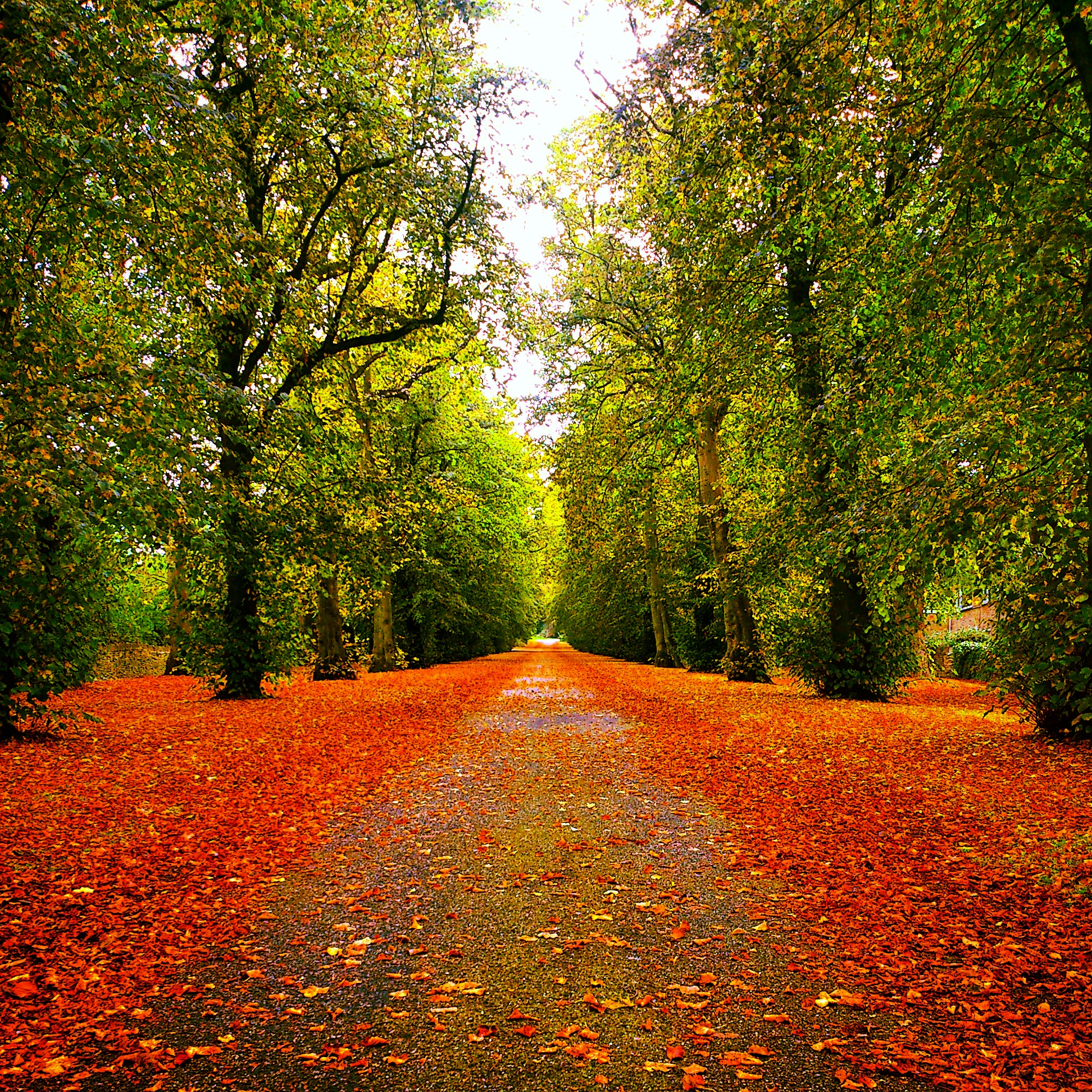 Kyle Jasven			
					</div><!-- .entry-content -->
		
		<footer>
		
		
		
					
					</footer><!-- .entry-meta -->
	</article><!-- #post -->
				
											
				
		
<hr class=