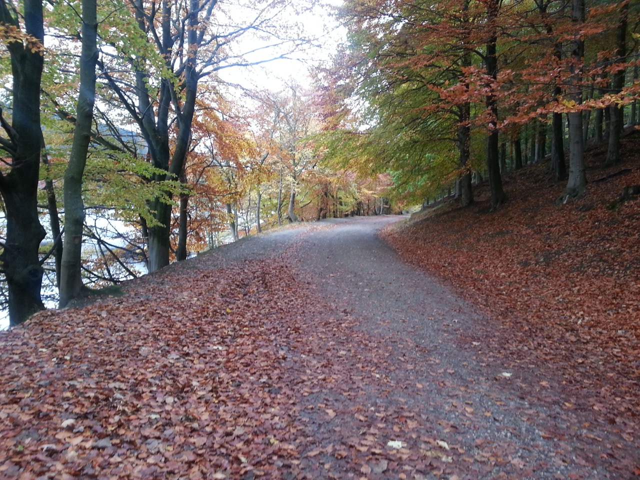 Sheffield photos			
					</div><!-- .entry-content -->
		
		<footer>
		
		
		
					
					</footer><!-- .entry-meta -->
	</article><!-- #post -->
				
											
				
		
<hr class=