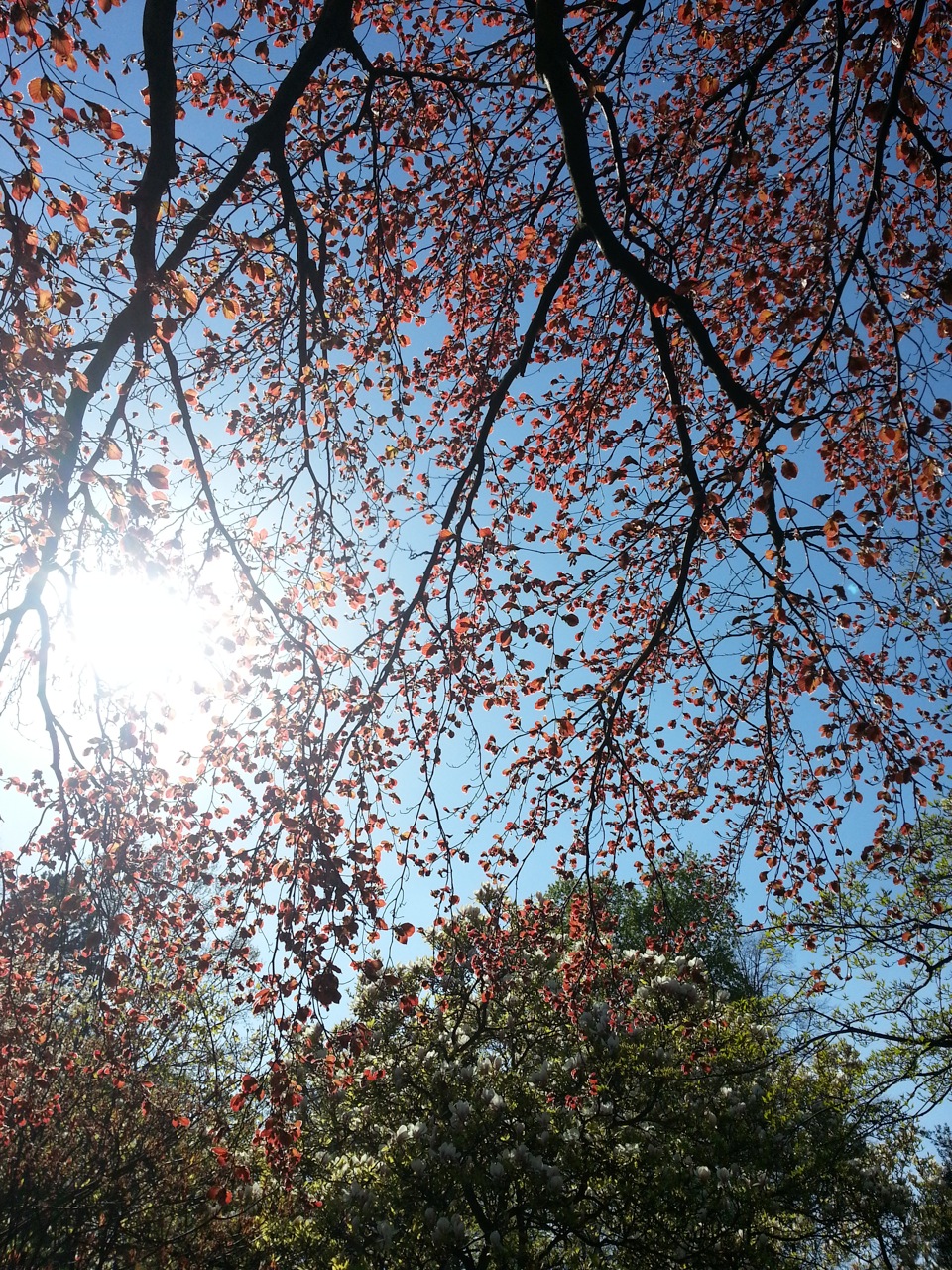 Photo			
					</div><!-- .entry-content -->
		
		<footer>
		
		
		
					
					</footer><!-- .entry-meta -->
	</article><!-- #post -->
				
											
				
		
<hr class=