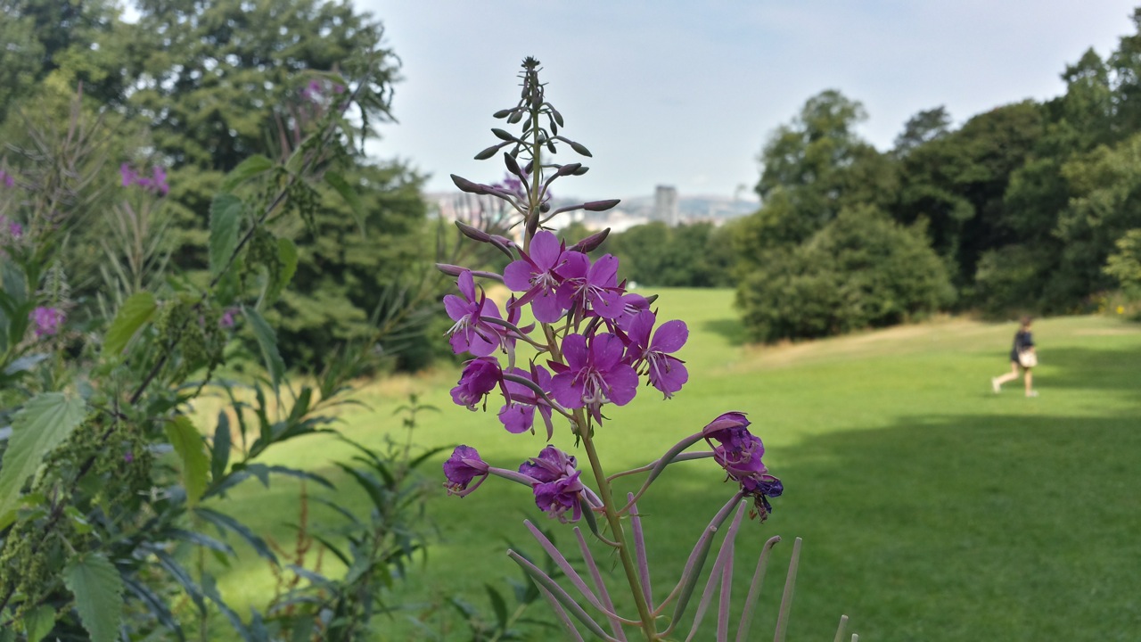 Photo			
					</div><!-- .entry-content -->
		
		<footer>
		
		
		
					
					</footer><!-- .entry-meta -->
	</article><!-- #post -->
				
											
				
		
<hr class=