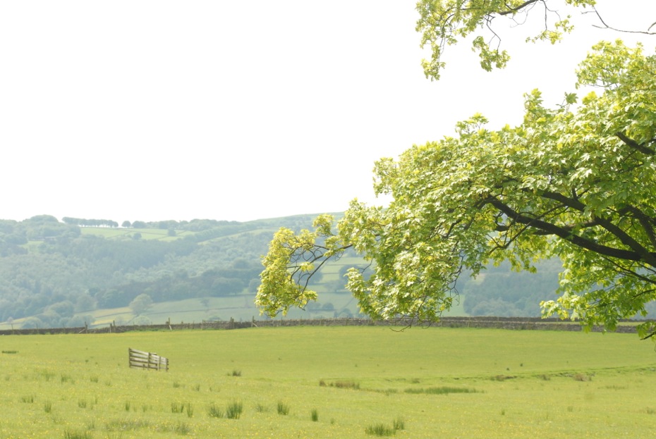 Photos			
					</div><!-- .entry-content -->
		
		<footer>
		
		
		
					
					</footer><!-- .entry-meta -->
	</article><!-- #post -->
				
											
				
		
<hr class=