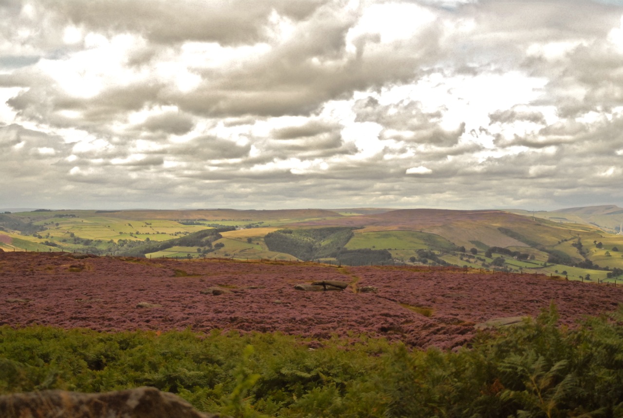 Photos			
					</div><!-- .entry-content -->
		
		<footer>
		
		
		
					
					</footer><!-- .entry-meta -->
	</article><!-- #post -->
				
											
				
		
<hr class=