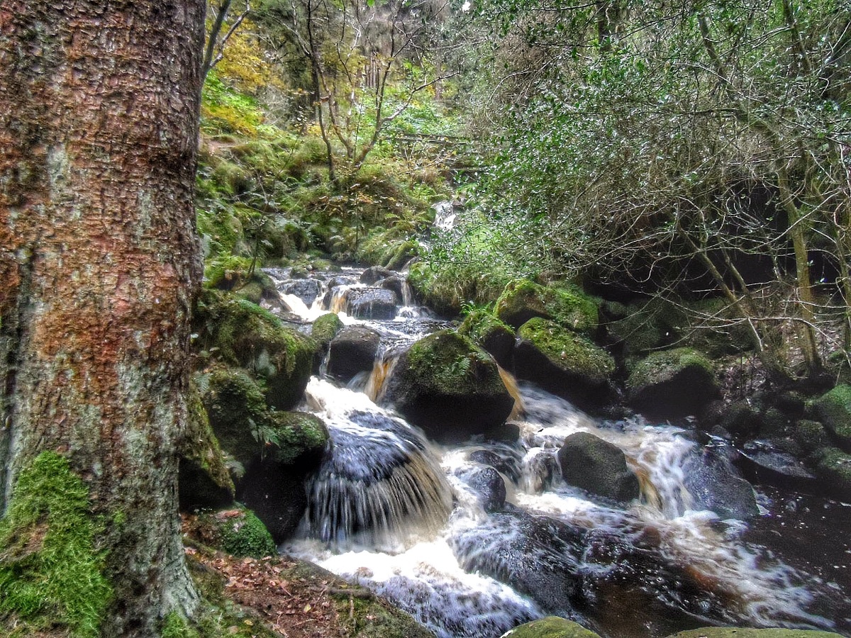 Wyming Brook			
					</div><!-- .entry-content -->
		
		<footer>
		
		
		
					
					</footer><!-- .entry-meta -->
	</article><!-- #post -->
				
											
				
		
<hr class=