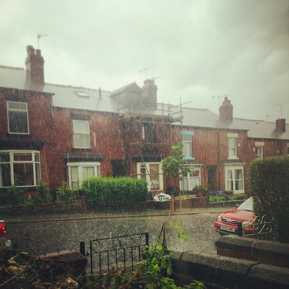 This photo is a bit clearer			
					</div><!-- .entry-content -->
		
		<footer>
		
		
		
					
					</footer><!-- .entry-meta -->
	</article><!-- #post -->
				
											
				
		
<hr class=