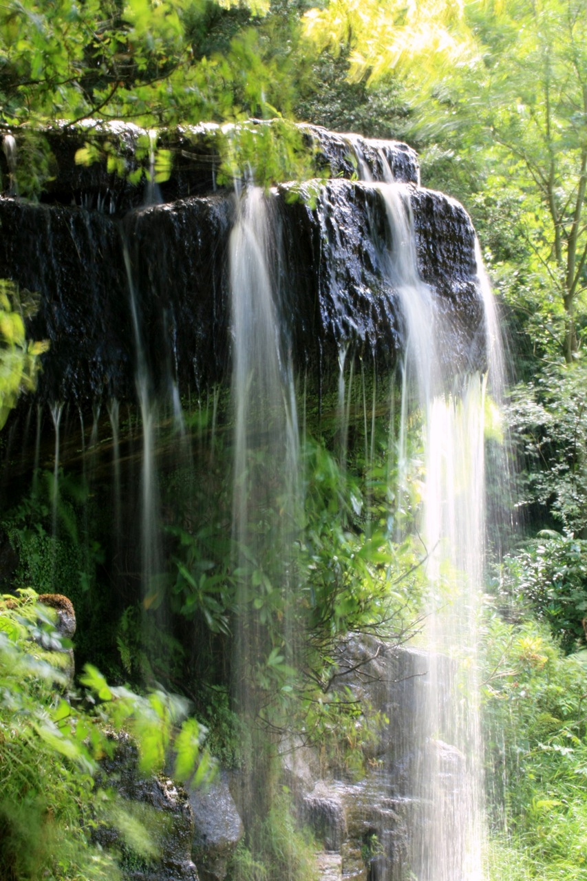 Out and about Sheffield			
					</div><!-- .entry-content -->
		
		<footer>
		
		
		
					
					</footer><!-- .entry-meta -->
	</article><!-- #post -->
				
											
				
		
<hr class=