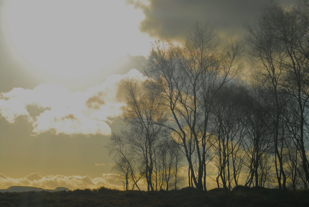 photos			
					</div><!-- .entry-content -->
		
		<footer>
		
		
		
					
					</footer><!-- .entry-meta -->
	</article><!-- #post -->
				
											
				
		
<hr class=