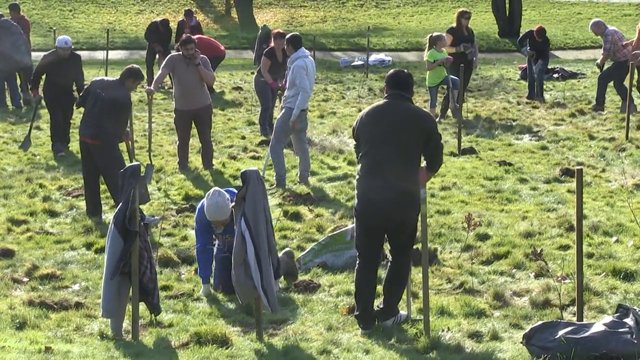 500 trees planted in Longley Park