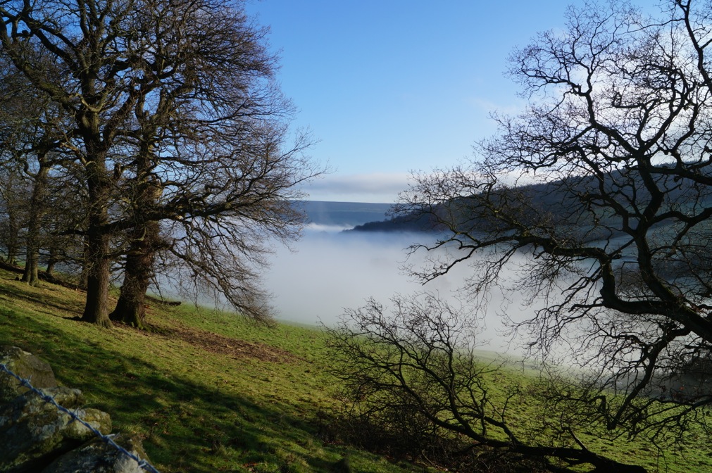 Live From The Field			
					</div><!-- .entry-content -->
		
		<footer>
		
		
		
					
					</footer><!-- .entry-meta -->
	</article><!-- #post -->
				
											
				
		
<hr class=