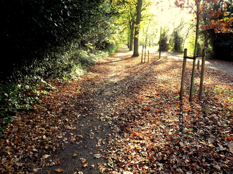 a picture for you. Fom Dave Bunting.			
					</div><!-- .entry-content -->
		
		<footer>
		
		
		
					
					</footer><!-- .entry-meta -->
	</article><!-- #post -->
				
											
				
		
<hr class=