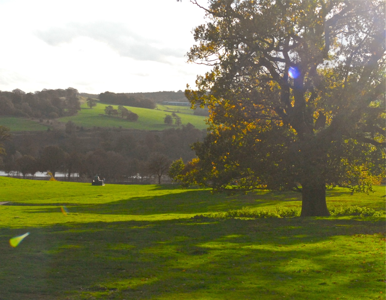 Photos – Yorkshire Sculture Park – Jacob Tomlinson			
					</div><!-- .entry-content -->
		
		<footer>
		
		
		
					
					</footer><!-- .entry-meta -->
	</article><!-- #post -->
				
											
				
		
<hr class=