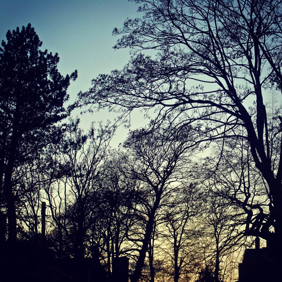 Photo			
					</div><!-- .entry-content -->
		
		<footer>
		
		
		
					
					</footer><!-- .entry-meta -->
	</article><!-- #post -->
				
											
				
		
<hr class=