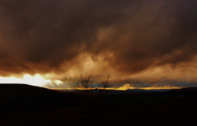 Photos			
					</div><!-- .entry-content -->
		
		<footer>
		
		
		
					
					</footer><!-- .entry-meta -->
	</article><!-- #post -->
				
											
				
		
<hr class=