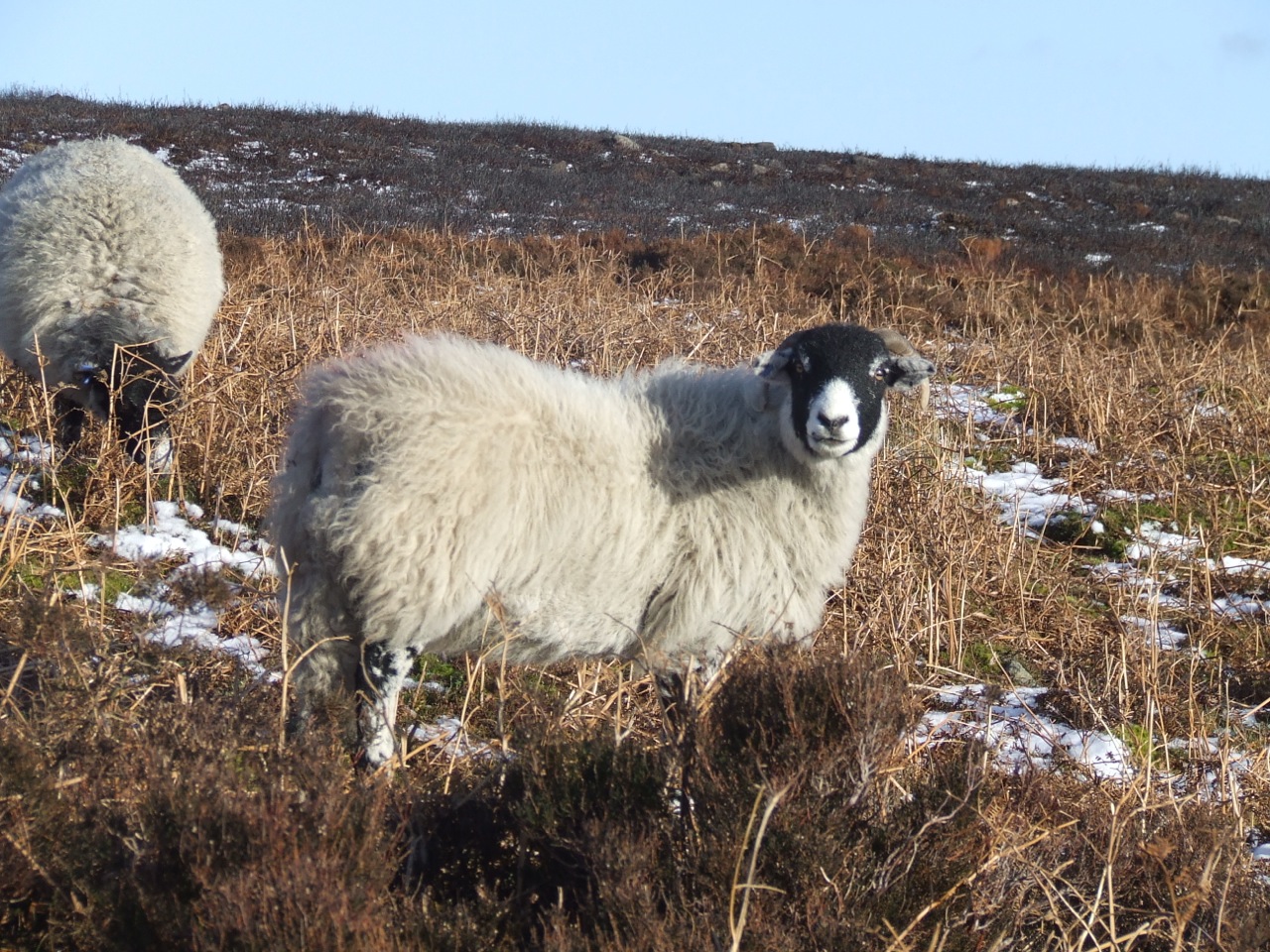 photos			
					</div><!-- .entry-content -->
		
		<footer>
		
		
		
					
					</footer><!-- .entry-meta -->
	</article><!-- #post -->
				
											
				
		
<hr class=