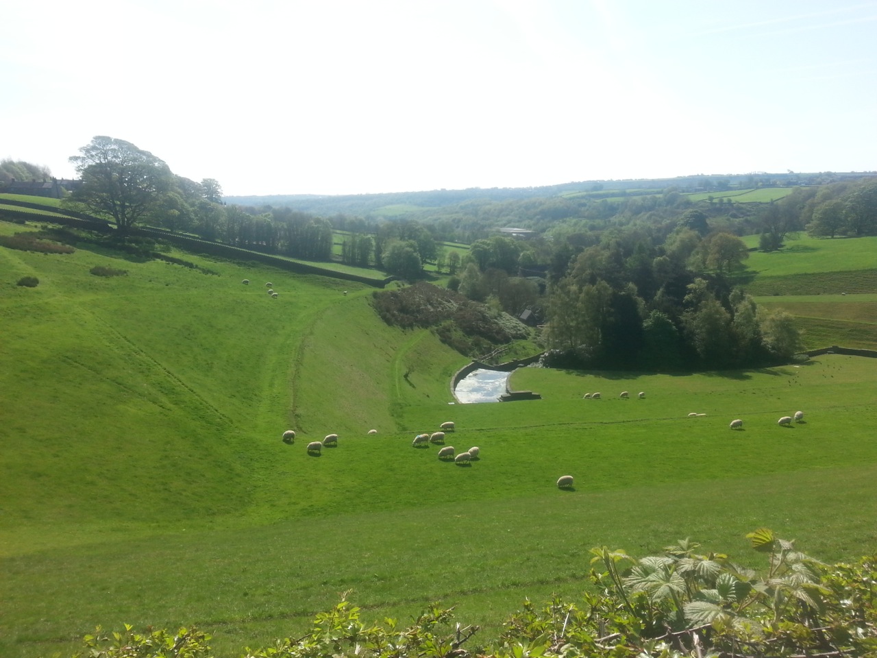 Sheffield pictures			
					</div><!-- .entry-content -->
		
		<footer>
		
		
		
					
					</footer><!-- .entry-meta -->
	</article><!-- #post -->
				
											
				
		
<hr class=