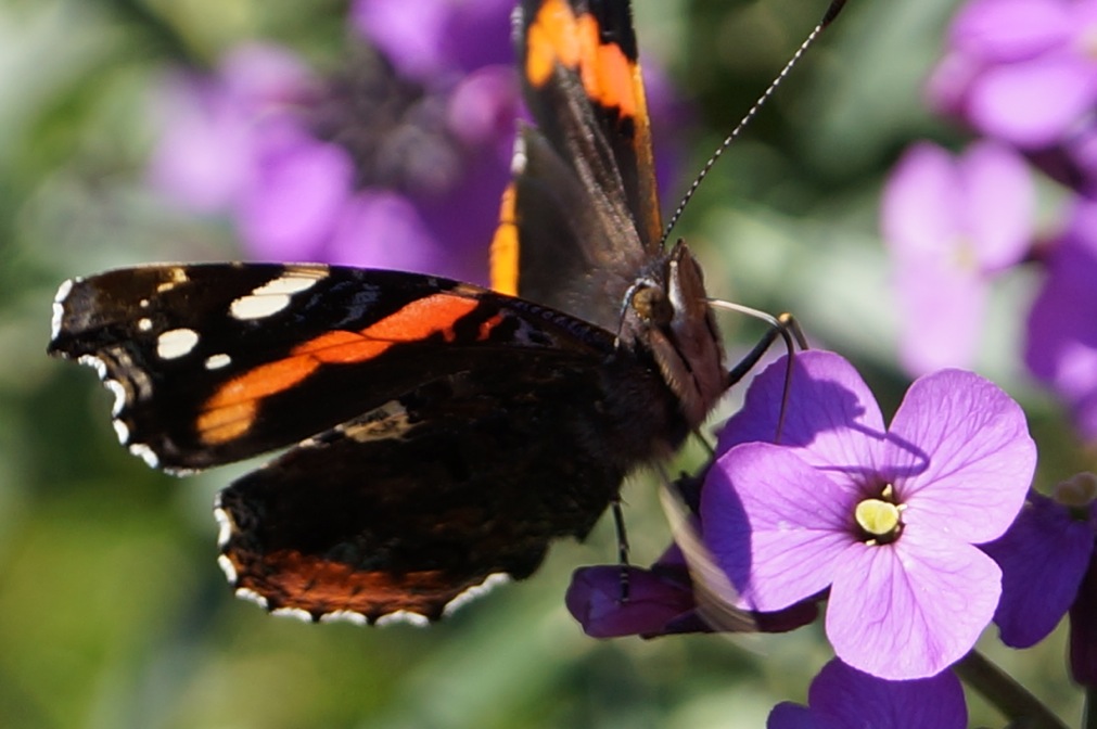 photos			
					</div><!-- .entry-content -->
		
		<footer>
		
		
		
					
					</footer><!-- .entry-meta -->
	</article><!-- #post -->
				
											
				
		
<hr class=