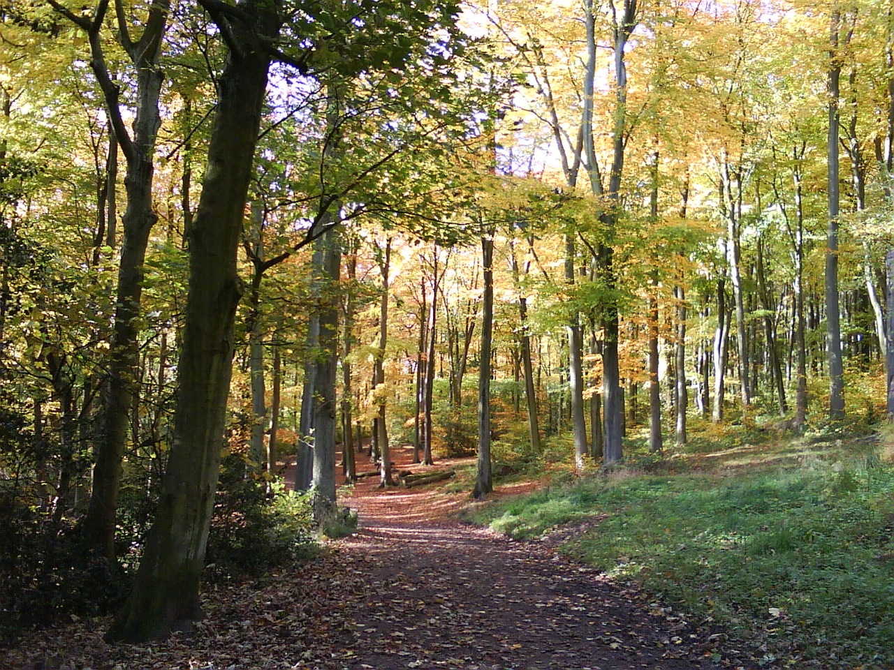 Autumn colours			
					</div><!-- .entry-content -->
		
		<footer>
		
		
		
					
					</footer><!-- .entry-meta -->
	</article><!-- #post -->
				
											
				
		
<hr class=