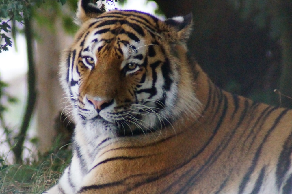 photos			
					</div><!-- .entry-content -->
		
		<footer>
		
		
		
					
					</footer><!-- .entry-meta -->
	</article><!-- #post -->
				
											
				
		
<hr class=