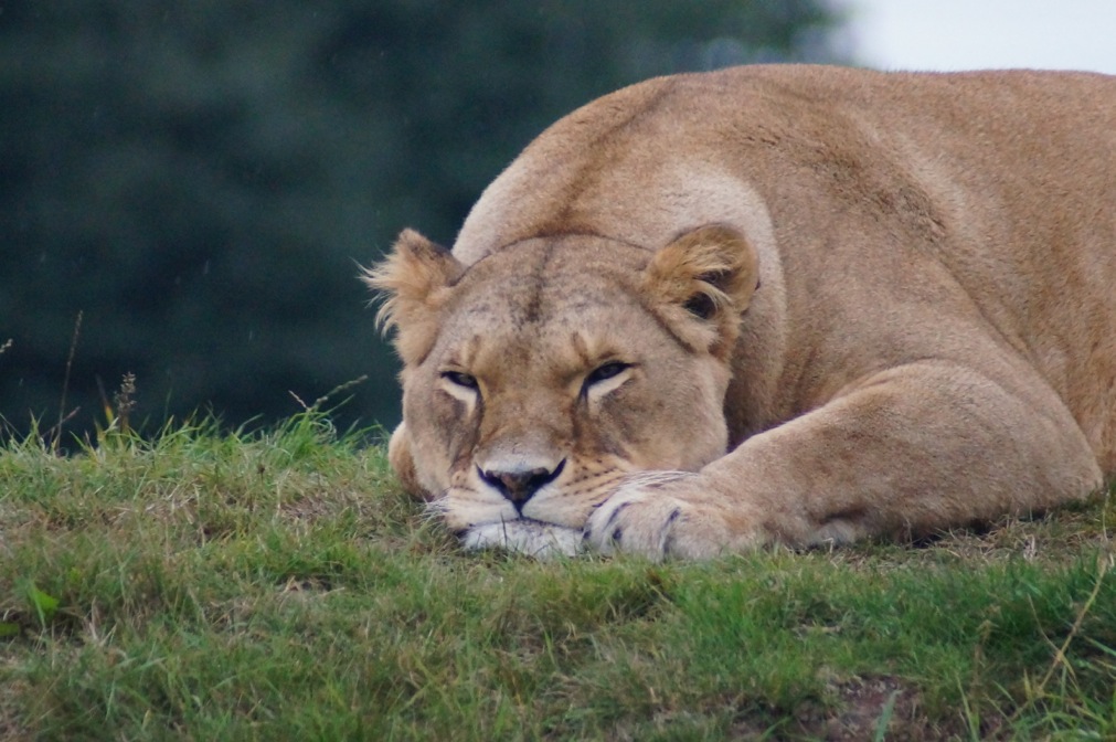 photos			
					</div><!-- .entry-content -->
		
		<footer>
		
		
		
					
					</footer><!-- .entry-meta -->
	</article><!-- #post -->
				
											
				
		
<hr class=