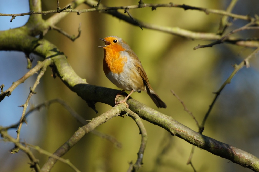 Photos			
					</div><!-- .entry-content -->
		
		<footer>
		
		
		
					
					</footer><!-- .entry-meta -->
	</article><!-- #post -->
				
											
				
		
<hr class=