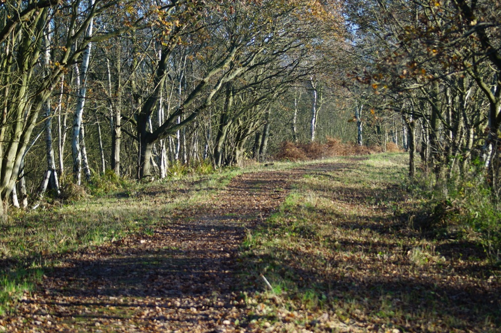 photos			
					</div><!-- .entry-content -->
		
		<footer>
		
		
		
					
					</footer><!-- .entry-meta -->
	</article><!-- #post -->
				
											
				
		
<hr class=