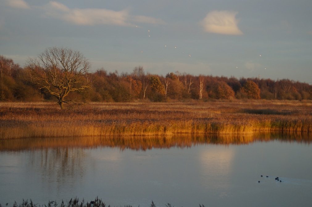 photos			
					</div><!-- .entry-content -->
		
		<footer>
		
		
		
					
					</footer><!-- .entry-meta -->
	</article><!-- #post -->
				
											
				
		
<hr class=