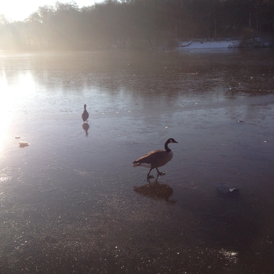 Photo from the field			
					</div><!-- .entry-content -->
		
		<footer>
		
		
		
					
					</footer><!-- .entry-meta -->
	</article><!-- #post -->
				
											
				
		
<hr class=