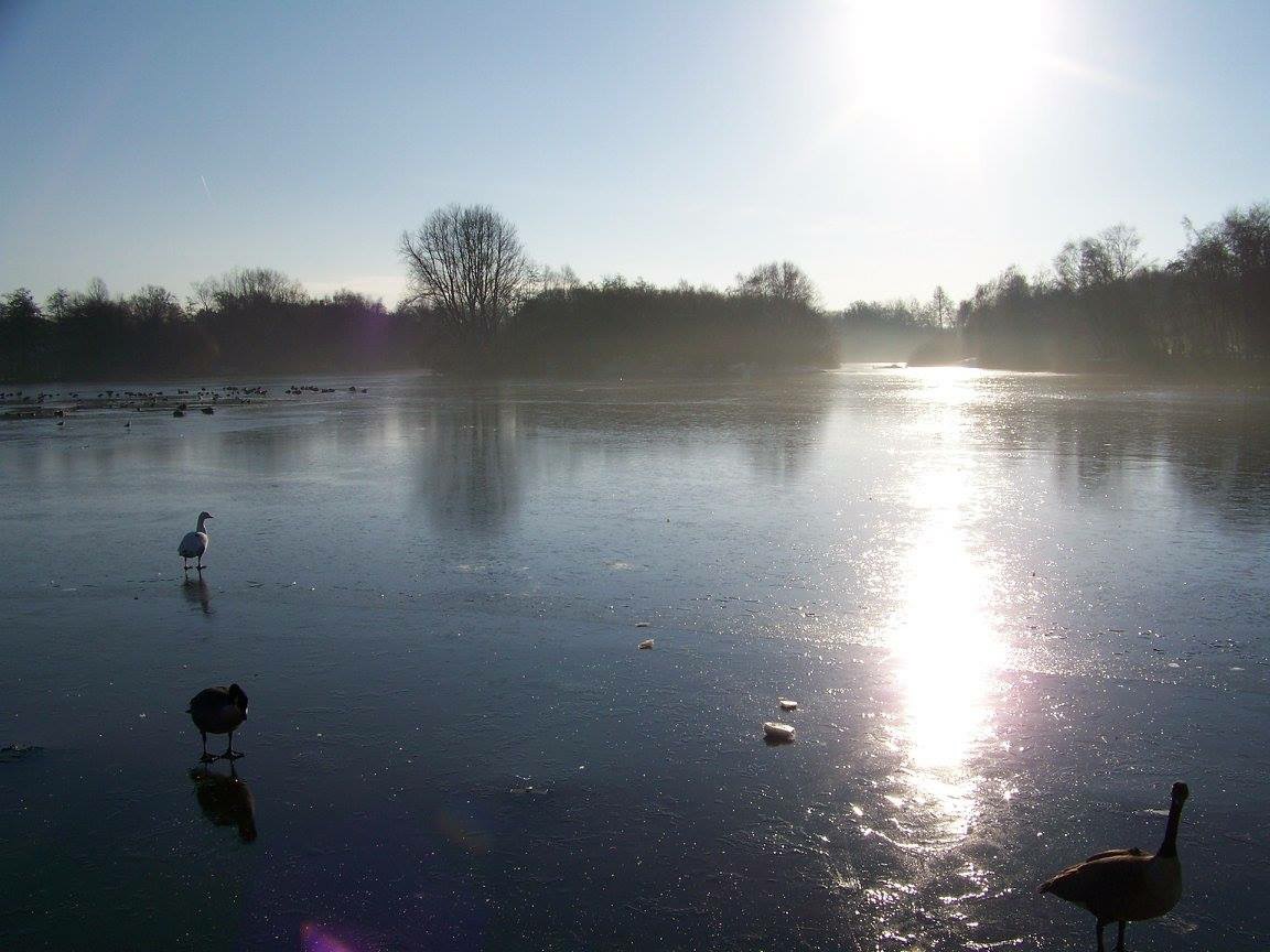 Rufford abbey pictures			
					</div><!-- .entry-content -->
		
		<footer>
		
		
		
					
					</footer><!-- .entry-meta -->
	</article><!-- #post -->
				
											
				
		
<hr class=