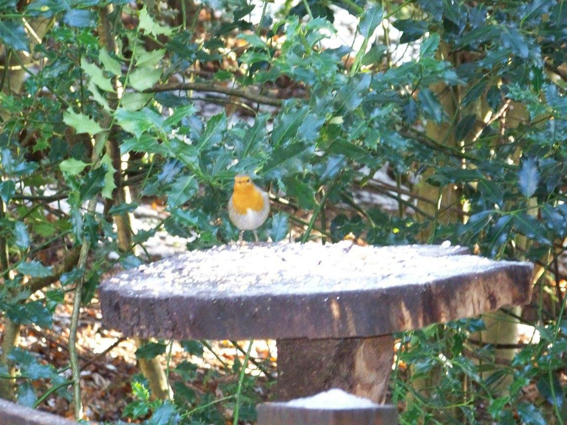 Rufford abbey pictures			
					</div><!-- .entry-content -->
		
		<footer>
		
		
		
					
					</footer><!-- .entry-meta -->
	</article><!-- #post -->
				
											
				
		
<hr class=