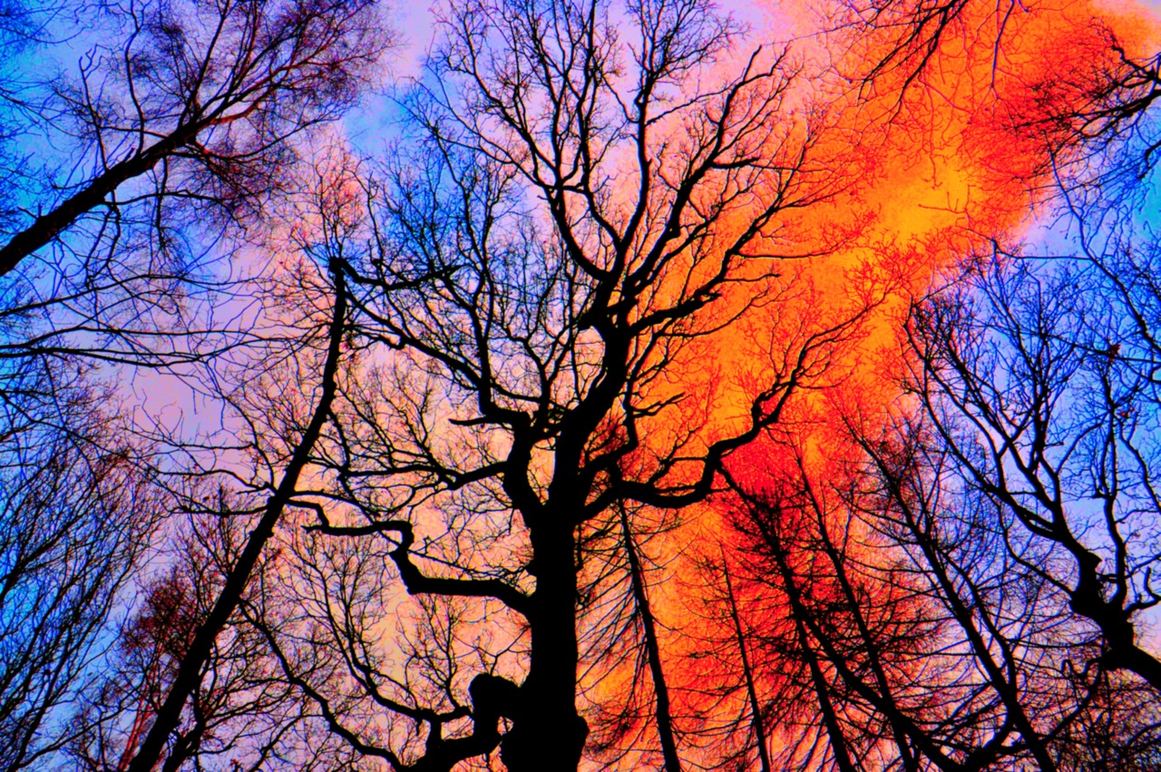 SHEFFIELD			
					</div><!-- .entry-content -->
		
		<footer>
		
		
		
					
					</footer><!-- .entry-meta -->
	</article><!-- #post -->
				
											
				
		
<hr class=