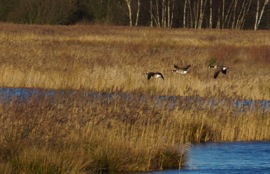 photos			
					</div><!-- .entry-content -->
		
		<footer>
		
		
		
					
					</footer><!-- .entry-meta -->
	</article><!-- #post -->
				
											
				
		
<hr class=