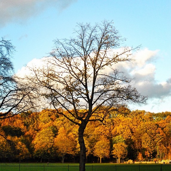 Photo			
					</div><!-- .entry-content -->
		
		<footer>
		
		
		
					
					</footer><!-- .entry-meta -->
	</article><!-- #post -->
				
											
				
		
<hr class=