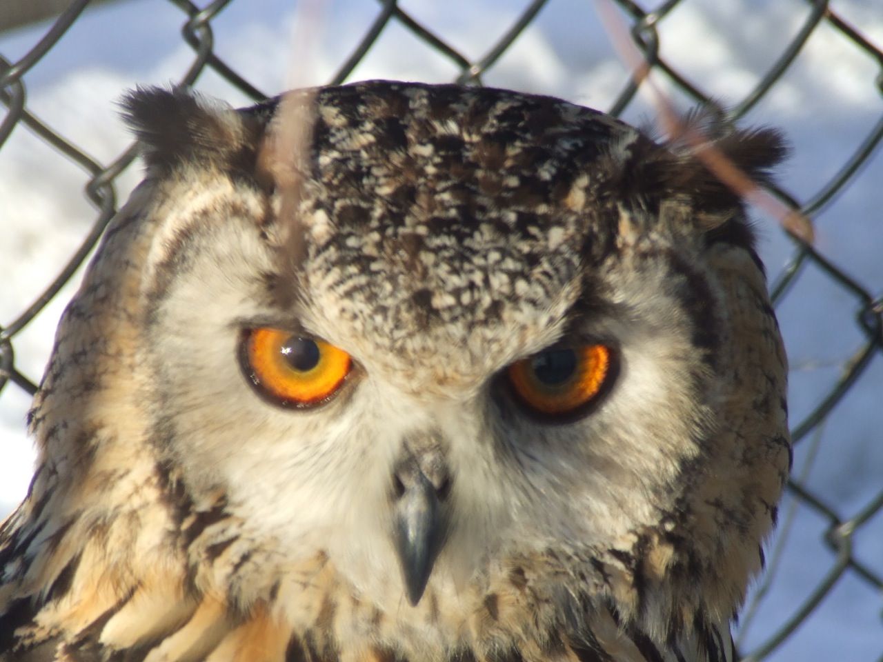 photos			
					</div><!-- .entry-content -->
		
		<footer>
		
		
		
					
					</footer><!-- .entry-meta -->
	</article><!-- #post -->
				
											
				
		
<hr class=