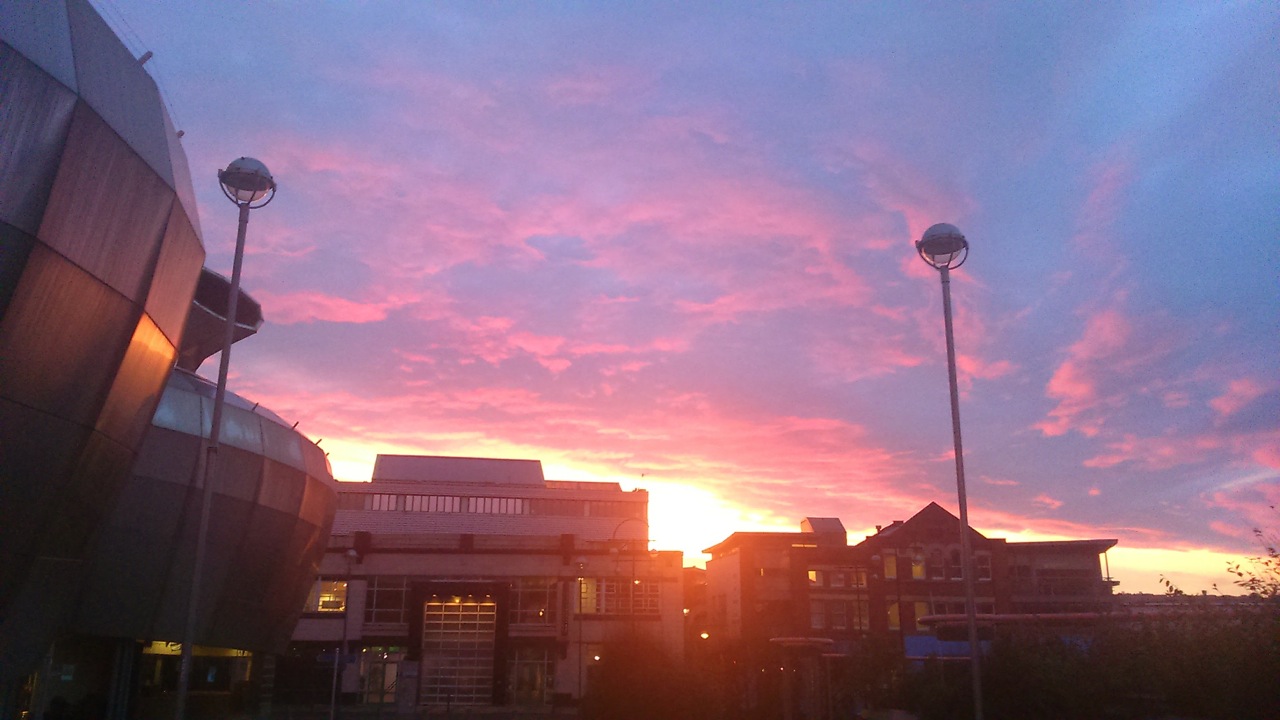 Photo from the field			
					</div><!-- .entry-content -->
		
		<footer>
		
		
		
					
					</footer><!-- .entry-meta -->
	</article><!-- #post -->
				
											
				
		
<hr class=