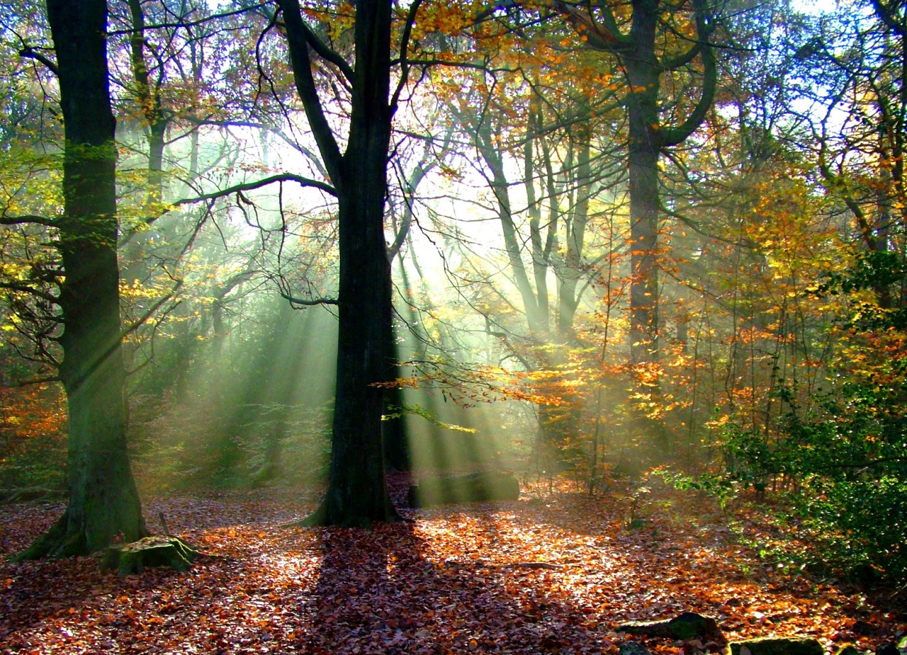 Sheffield area photos			
					</div><!-- .entry-content -->
		
		<footer>
		
		
		
					
					</footer><!-- .entry-meta -->
	</article><!-- #post -->
				
											
				
		
<hr class=