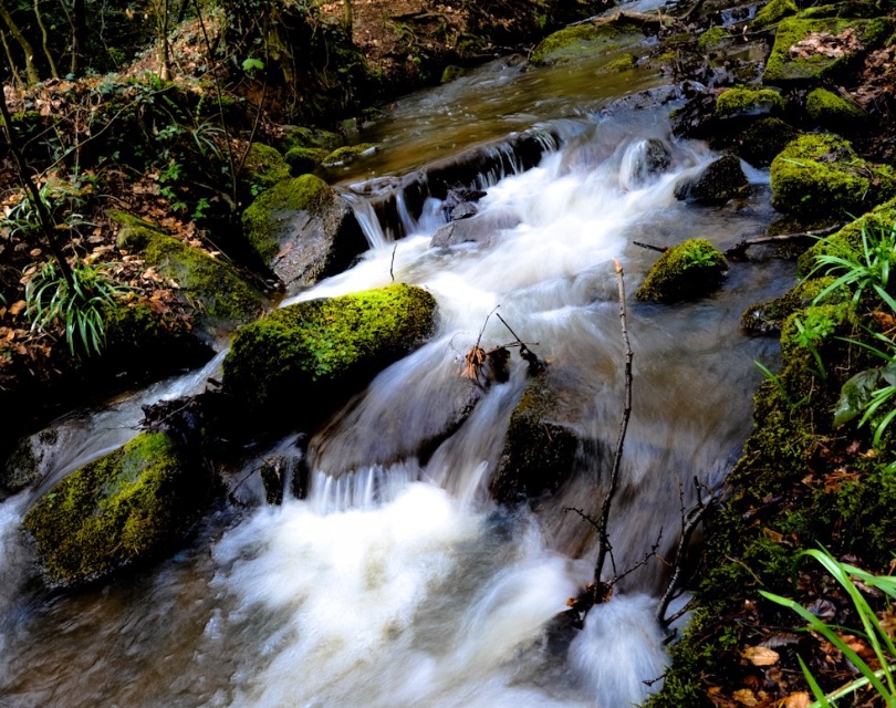 Graves park			
					</div><!-- .entry-content -->
		
		<footer>
		
		
		
					
					</footer><!-- .entry-meta -->
	</article><!-- #post -->
				
											
				
		
<hr class=