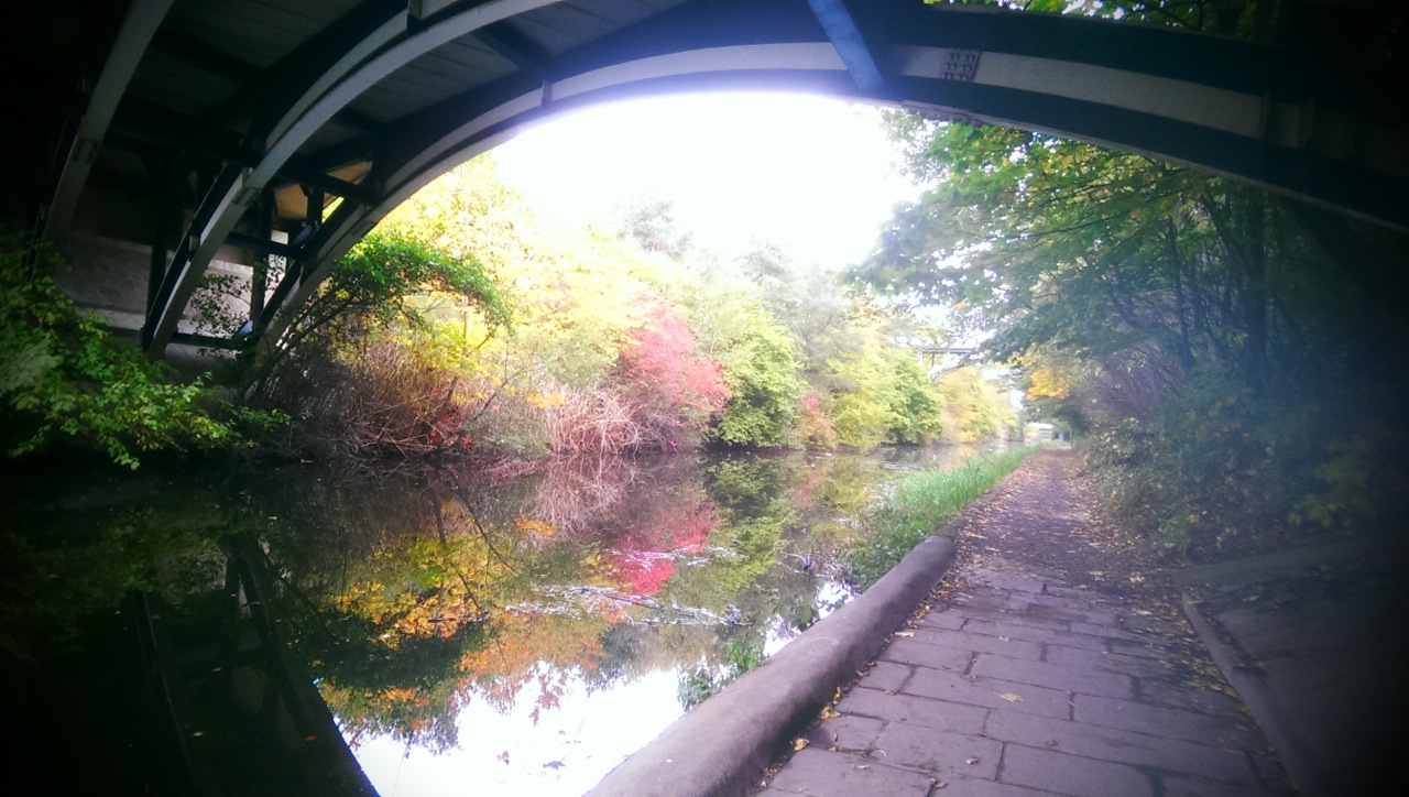 Ben Grafton at Sheffield canal			
					</div><!-- .entry-content -->
		
		<footer>
		
		
		
					
					</footer><!-- .entry-meta -->
	</article><!-- #post -->
				
											
				
		
<hr class=