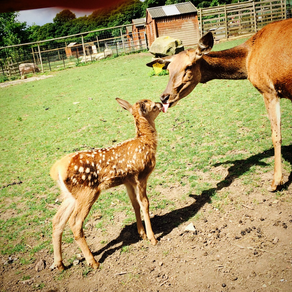 Graves park			
					</div><!-- .entry-content -->
		
		<footer>
		
		
		
					
					</footer><!-- .entry-meta -->
	</article><!-- #post -->
				
											
				
		
<hr class=