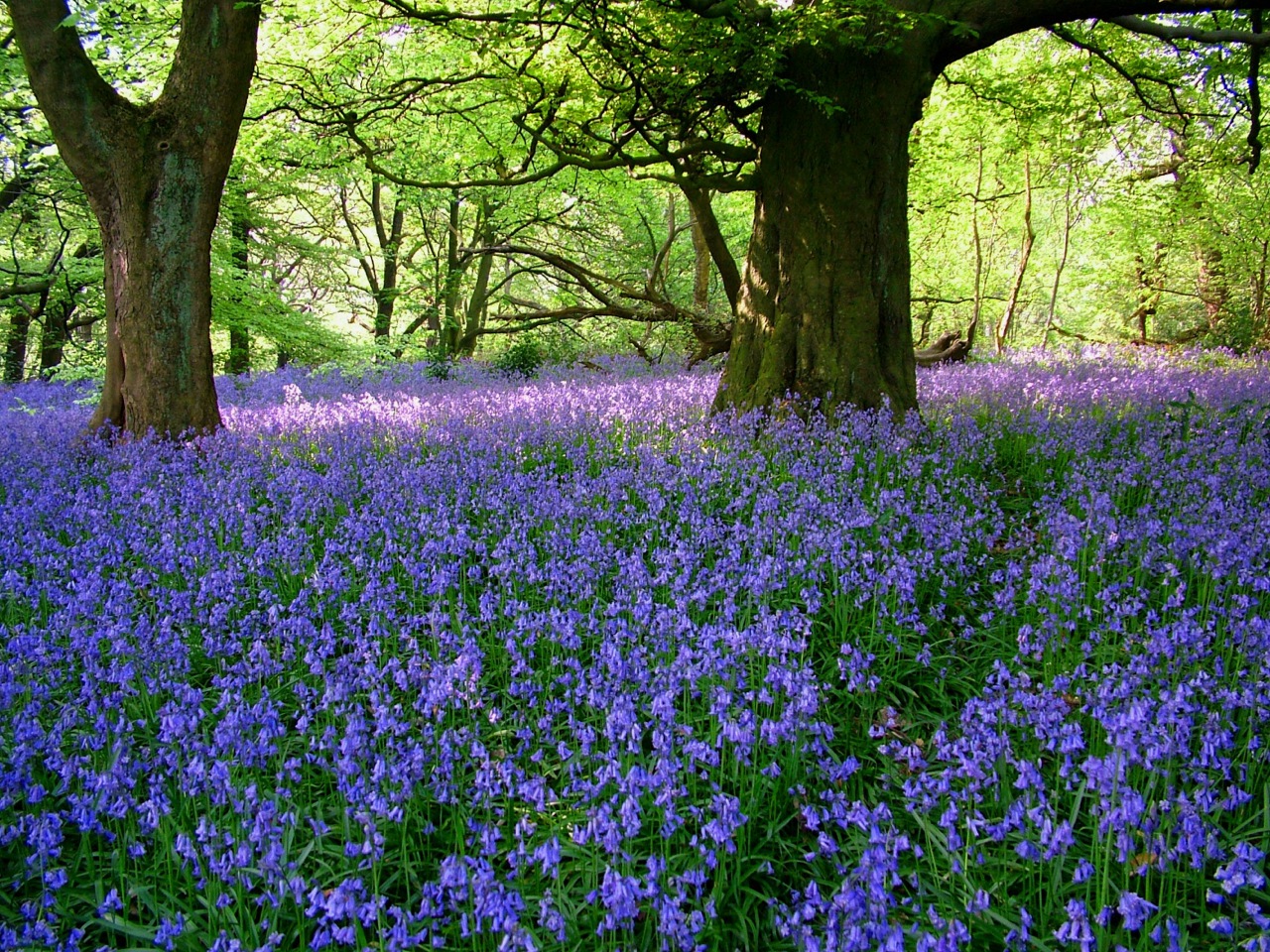 Sheffield area photos			
					</div><!-- .entry-content -->
		
		<footer>
		
		
		
					
					</footer><!-- .entry-meta -->
	</article><!-- #post -->
				
											
				
		
<hr class=