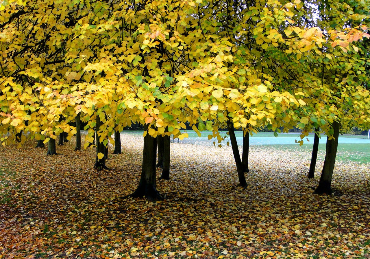 Sheffield area photos			
					</div><!-- .entry-content -->
		
		<footer>
		
		
		
					
					</footer><!-- .entry-meta -->
	</article><!-- #post -->
				
											
				
		
<hr class=