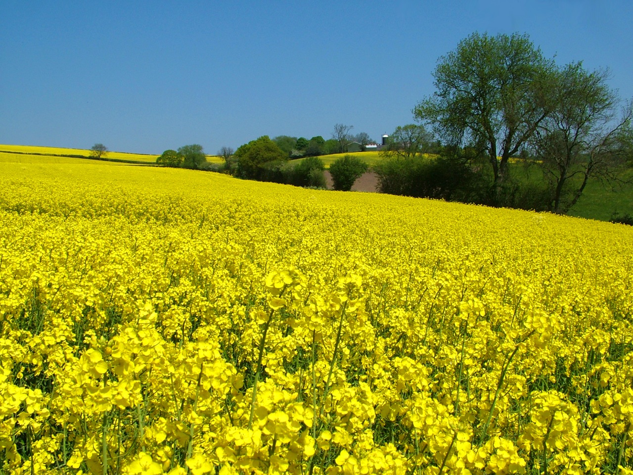 Sheffield area photos			
					</div><!-- .entry-content -->
		
		<footer>
		
		
		
					
					</footer><!-- .entry-meta -->
	</article><!-- #post -->
				
											
				
		
<hr class=