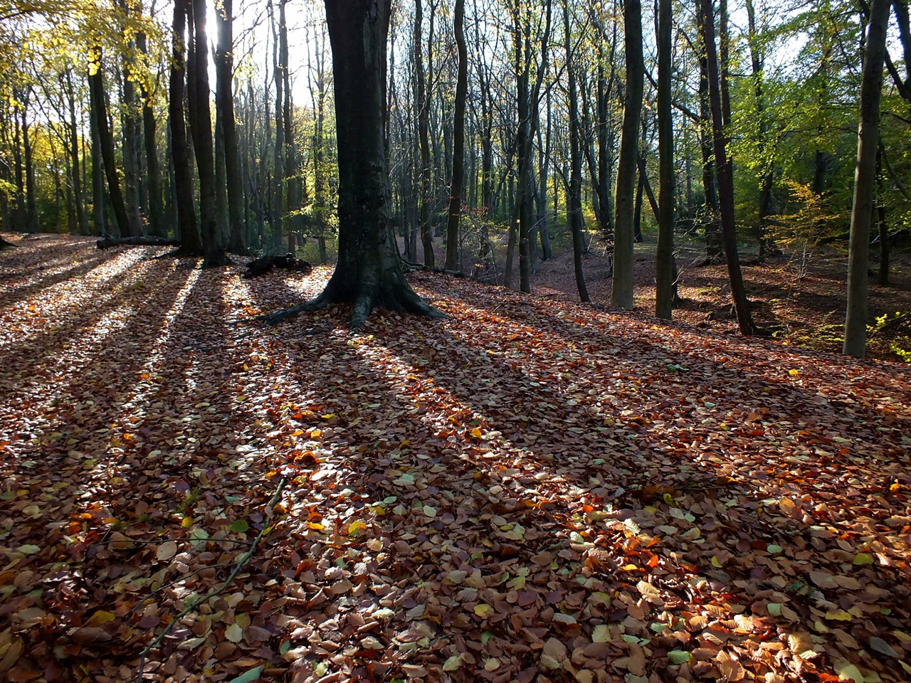 Sheffield area photos			
					</div><!-- .entry-content -->
		
		<footer>
		
		
		
					
					</footer><!-- .entry-meta -->
	</article><!-- #post -->
				
											
				
		
<hr class=