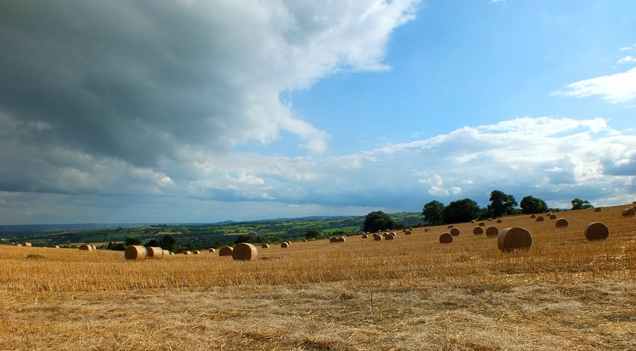 Sheffield area photos			
					</div><!-- .entry-content -->
		
		<footer>
		
		
		
					
					</footer><!-- .entry-meta -->
	</article><!-- #post -->
				
											
				
		
<hr class=