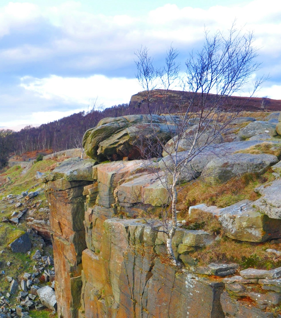 Photo from the field			
					</div><!-- .entry-content -->
		
		<footer>
		
		
		
					
					</footer><!-- .entry-meta -->
	</article><!-- #post -->
				
											
				
		
<hr class=