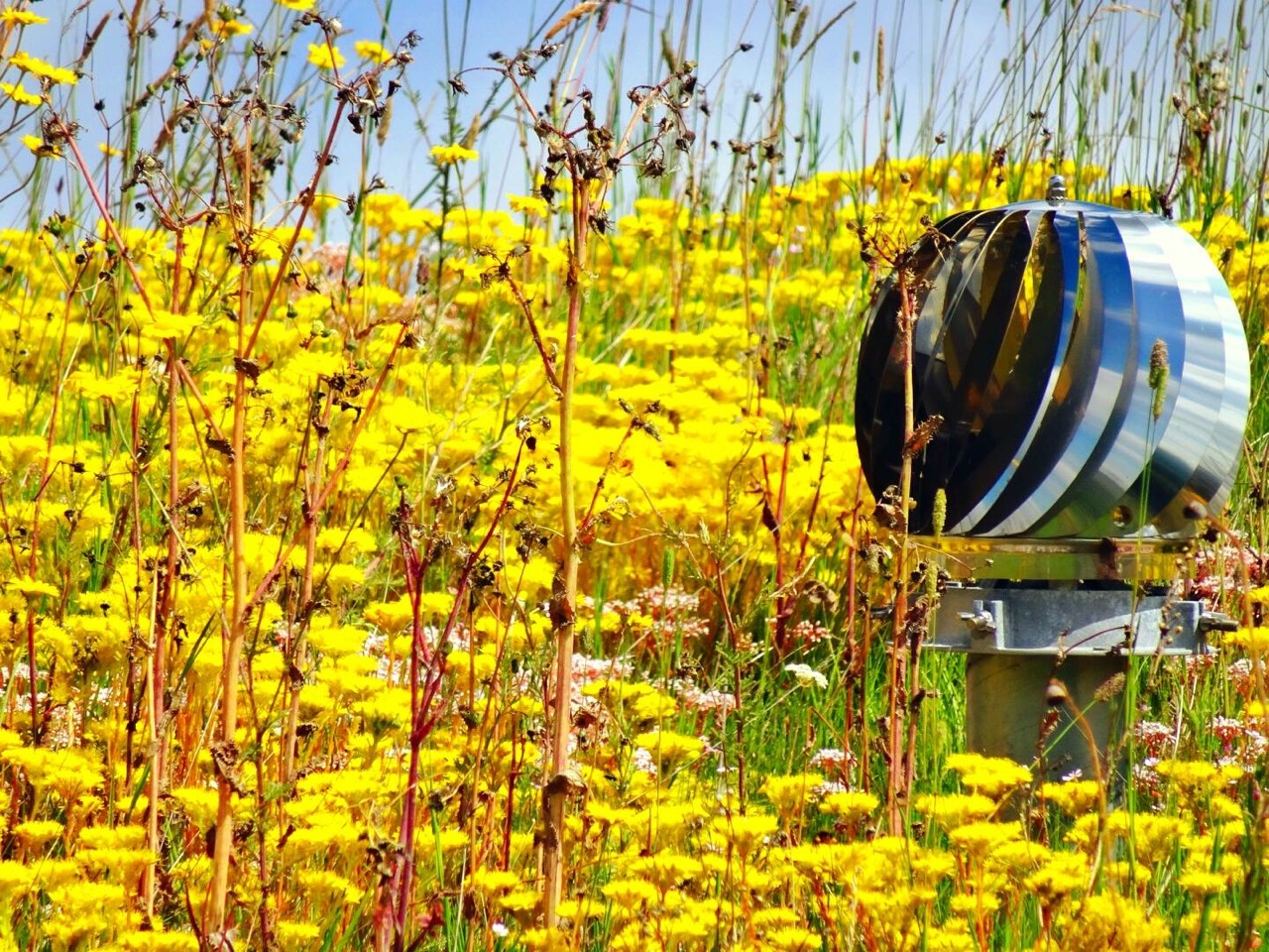 Photographs taken by Gary France			
					</div><!-- .entry-content -->
		
		<footer>
		
		
		
					
					</footer><!-- .entry-meta -->
	</article><!-- #post -->
				
											
				
		
<hr class=