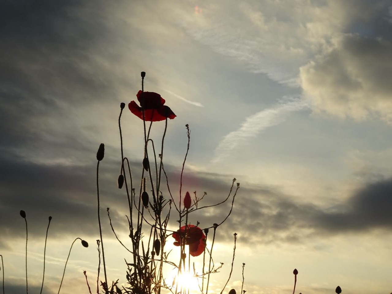 Photographs taken by Gary France			
					</div><!-- .entry-content -->
		
		<footer>
		
		
		
					
					</footer><!-- .entry-meta -->
	</article><!-- #post -->
				
											
				
		
<hr class=