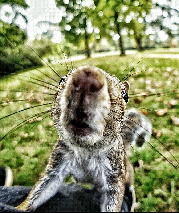 Photographs taken by Gary France			
					</div><!-- .entry-content -->
		
		<footer>
		
		
		
					
					</footer><!-- .entry-meta -->
	</article><!-- #post -->
				
											
				
		
<hr class=