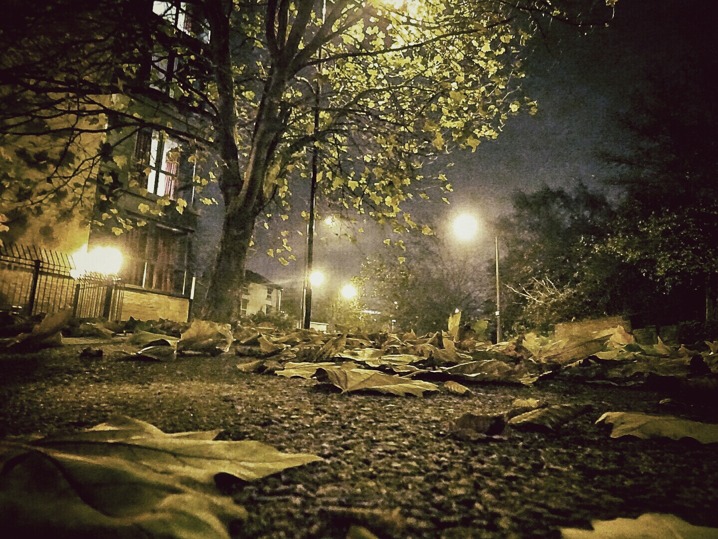 Broad Street			
					</div><!-- .entry-content -->
		
		<footer>
		
		
		
					
					</footer><!-- .entry-meta -->
	</article><!-- #post -->
				
											
				
		
<hr class=