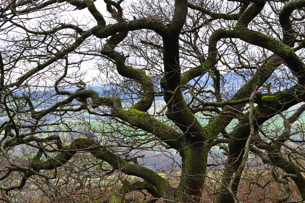 woods			
					</div><!-- .entry-content -->
		
		<footer>
		
		
		
					
					</footer><!-- .entry-meta -->
	</article><!-- #post -->
				
											
				
		
<hr class=