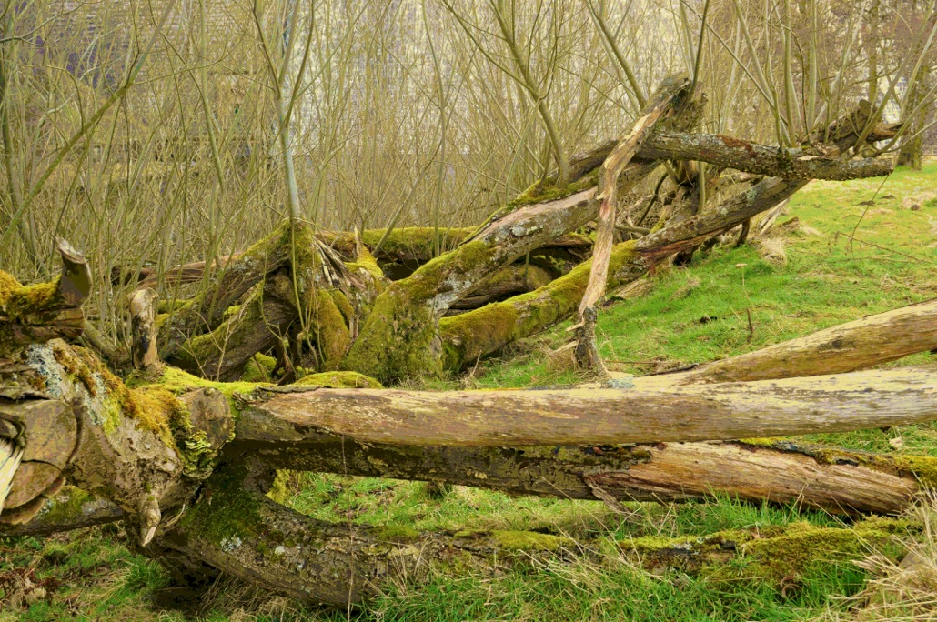 woods			
					</div><!-- .entry-content -->
		
		<footer>
		
		
		
					
					</footer><!-- .entry-meta -->
	</article><!-- #post -->
				
											
				
		
<hr class=